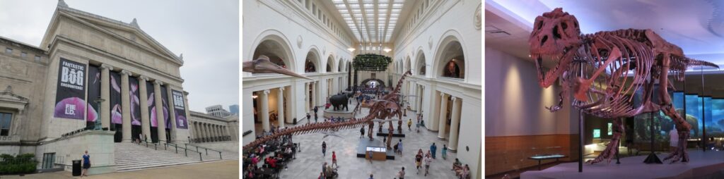 Field Museum