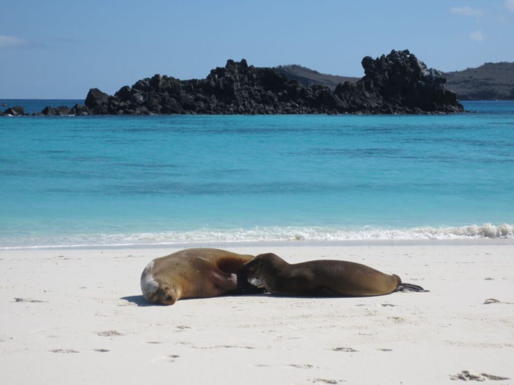 Espanola Island, Galapagos Islands