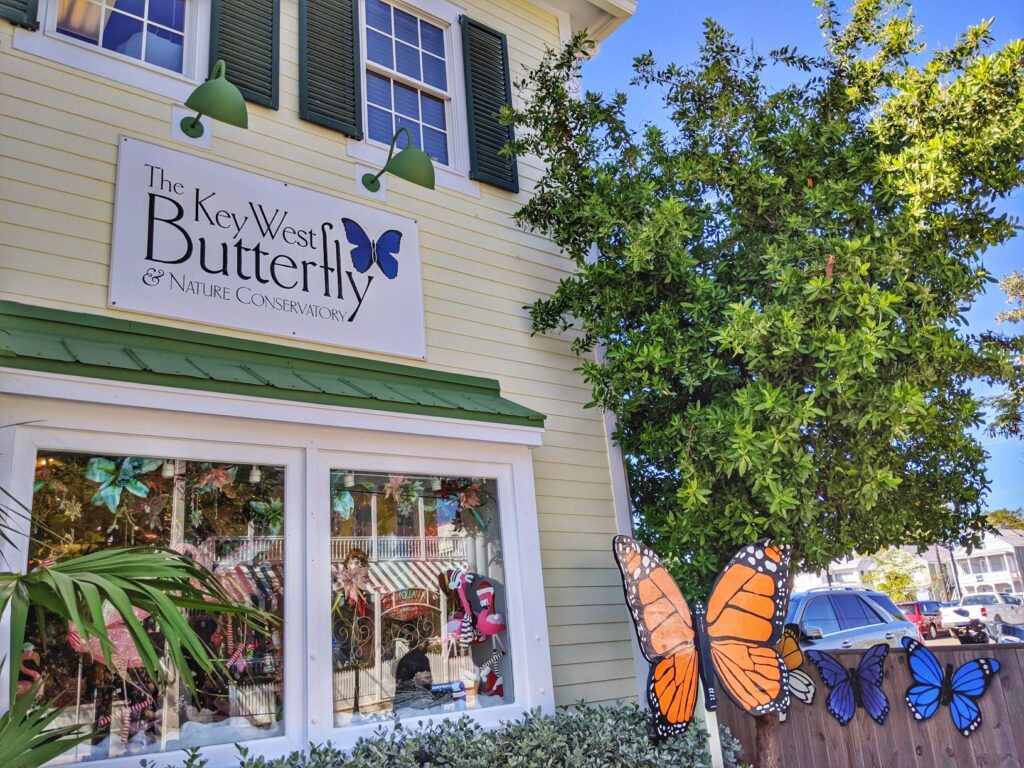 The Key West Butterfly and Nature Conservatory