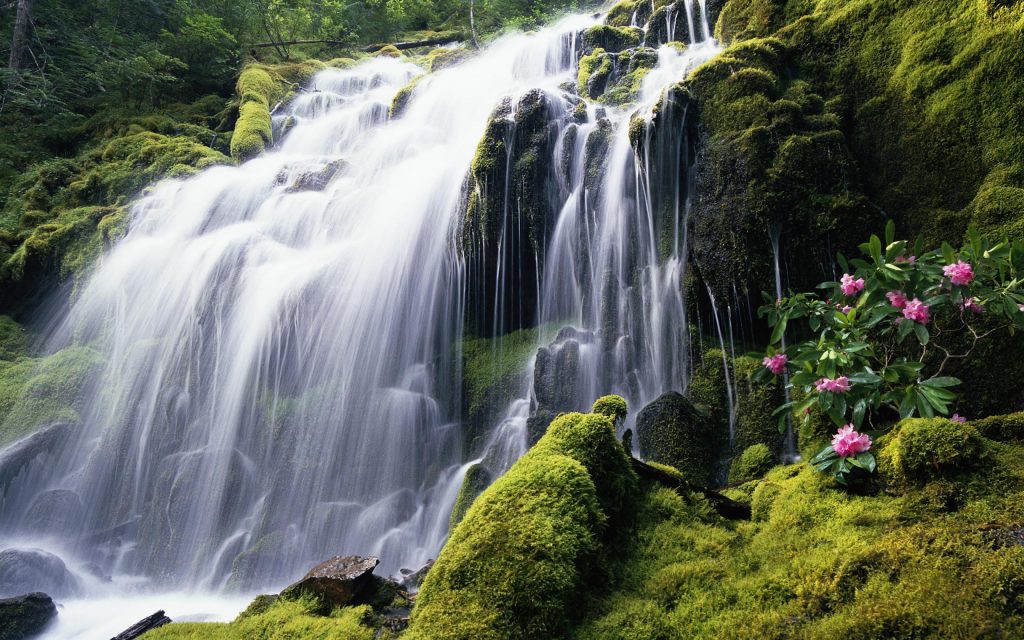 Waterfalls in Costa Rica