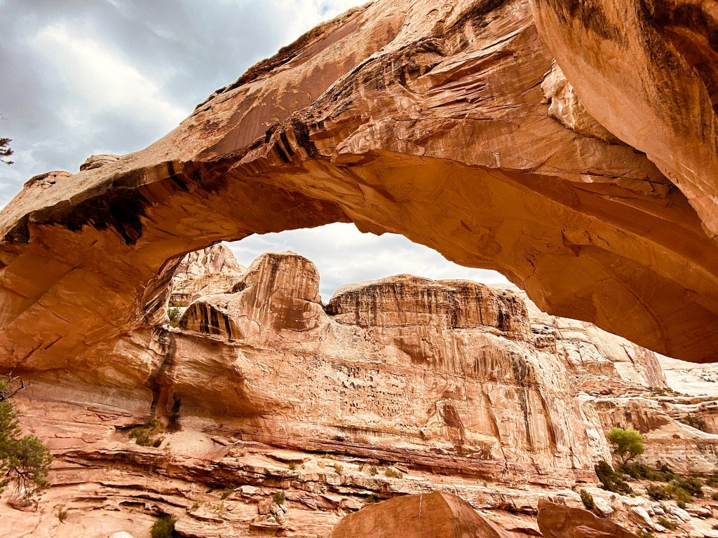 Capital Reef National Park